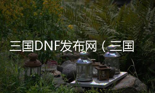 三国DNF发布网（三国版dnf游戏叫什么来着）