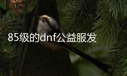 85级的dnf公益服发布网（dnf公益服发布网哪个职业厉害）