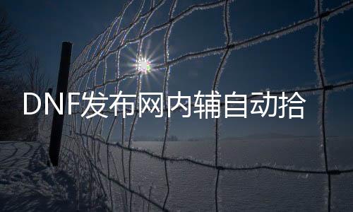 DNF发布网内辅自动拾取（dnf自动辅助为什么不稳）