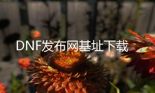 DNF发布网基址下载