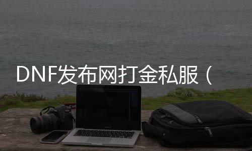 DNF发布网打金私服（DNF发布网与勇士打金工作室）