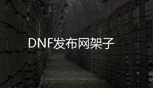 DNF发布网架子