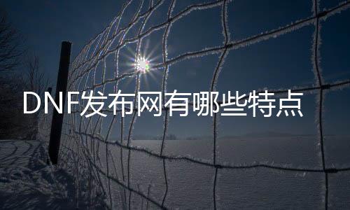 DNF发布网有哪些特点,为什么称为公益服发布网