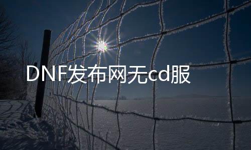 DNF发布网无cd服