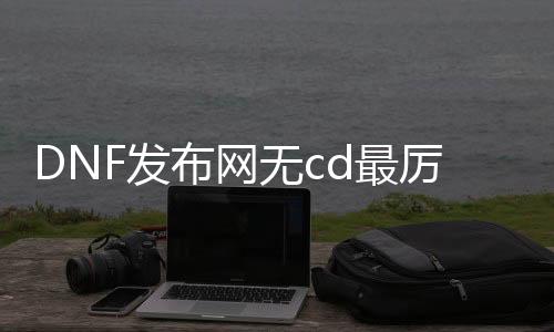 DNF发布网无cd最厉害的职业（dnf无cd的话小技能最厉害的）