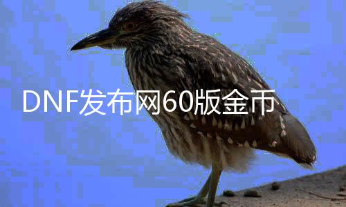 DNF发布网60版金币（DNF发布网60版本打金服）