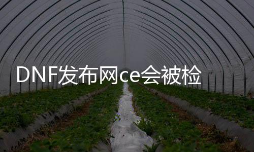 DNF发布网ce会被检测