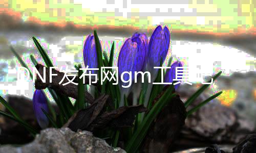 DNF发布网gm工具吧（DNF发布网 gm工具怎么用）