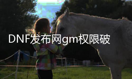 DNF发布网gm权限破解