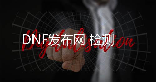 DNF发布网 检测