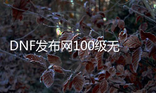 DNF发布网100级无cd私服（DNF发布网100级无装备平民搬砖）