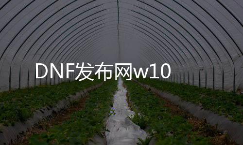 DNF发布网w10