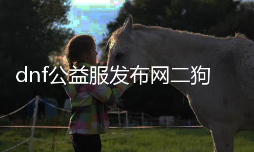 dnf公益服发布网二狗子（二狗子的DNF公益服发布网体验）