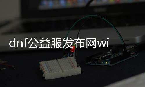 dnf公益服发布网win10版（dnf公益服发布网啥意思）