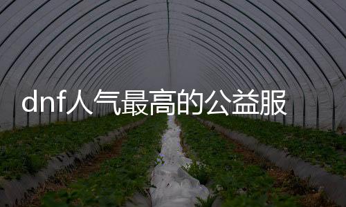 dnf人气最高的公益服发布网直播（带你感受最火爆的DNF公益服发布网直播）