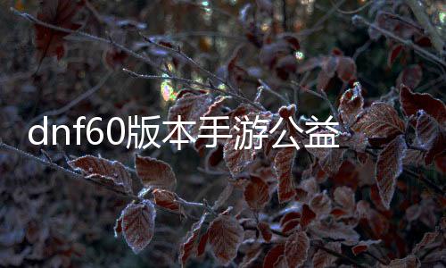 dnf60版本手游公益服发布网（dnf60版本手机版）