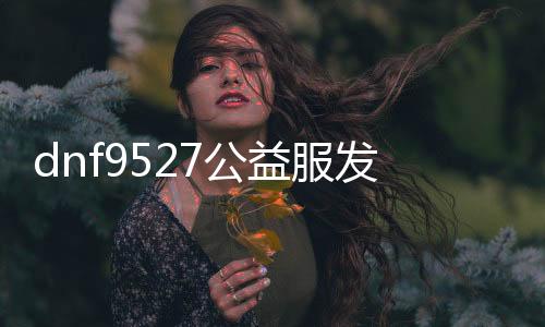 dnf9527公益服发布网下载,最新版本dnf9527公益服发布网下载地址