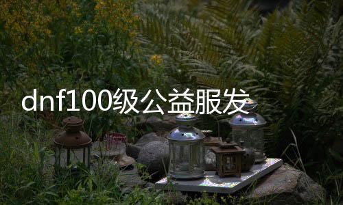 dnf100级公益服发布网哪个最好（dnf公益服发布网·1发布网）