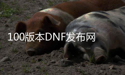 100版本DNF发布网送天空套私服（DNF发布网2021送天空套）